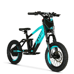 Bici Eléctrica EOS-16 550W 36V 7.5Ah Ziz.Racing