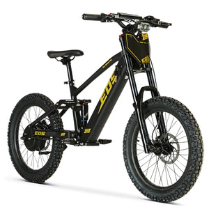 Bici Eléctrica EOS PRO R20 1200W 48V Ziz.Racing