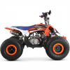 Quad Rebel Master Raptor 125cc