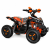 MINI QUAD ELÉCTRICO NEON 1000W 48V