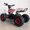 MINI QUAD ELÉCTRICO MR RACING 1000W