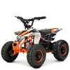 Mini Quad Eléctrico 1000W 36V Star Ziz.Racing — vista 12