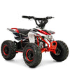 Mini Quad Eléctrico 1000W 36V Star Ziz.Racing — vista 2