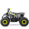 Quad 125cc 4T Automático 1+N+R Ziz.Racing R8 — vista 13