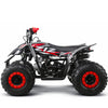 Quad 125cc 4T Automático 1+N+R Ziz.Racing R8 — vista 6
